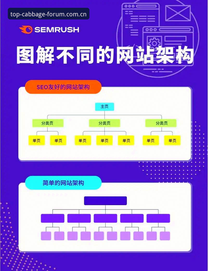 冠军白菜网官方导航 冠军白菜网官方导航全面解析:从用户体验到技术架构的深度分析