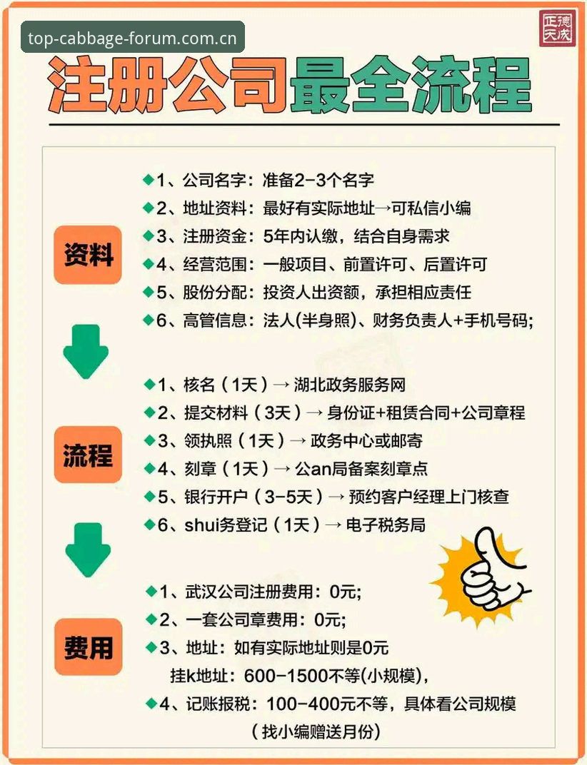 5个步骤搞定冠军白菜网会员登录教程，从注册到实战全攻略